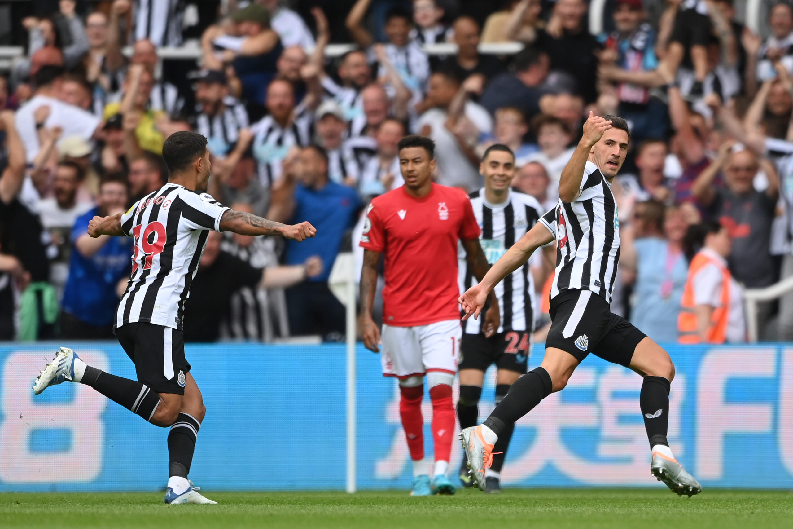 Newcastle 2-0 Nottingham Forest: Top class Toon dominate from start to finish