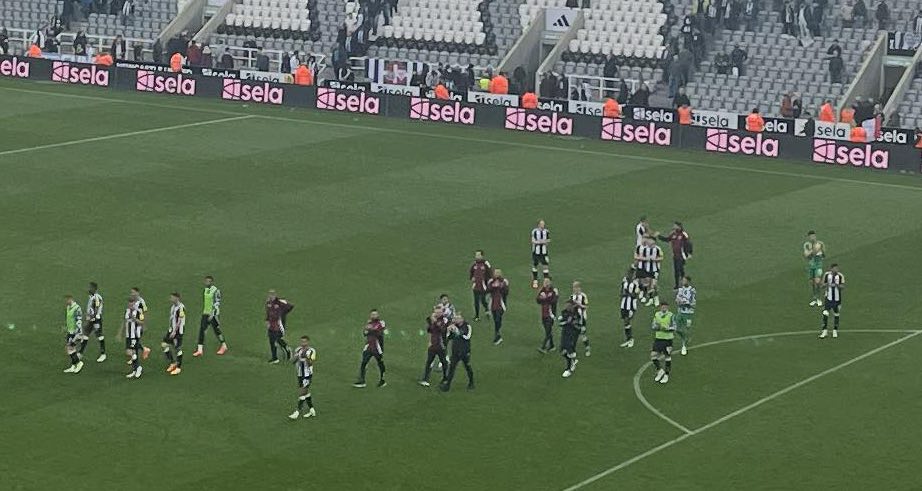 One 7.5 and a frustrating 4/10 - Player ratings from Newcastle 0-1 Brighton