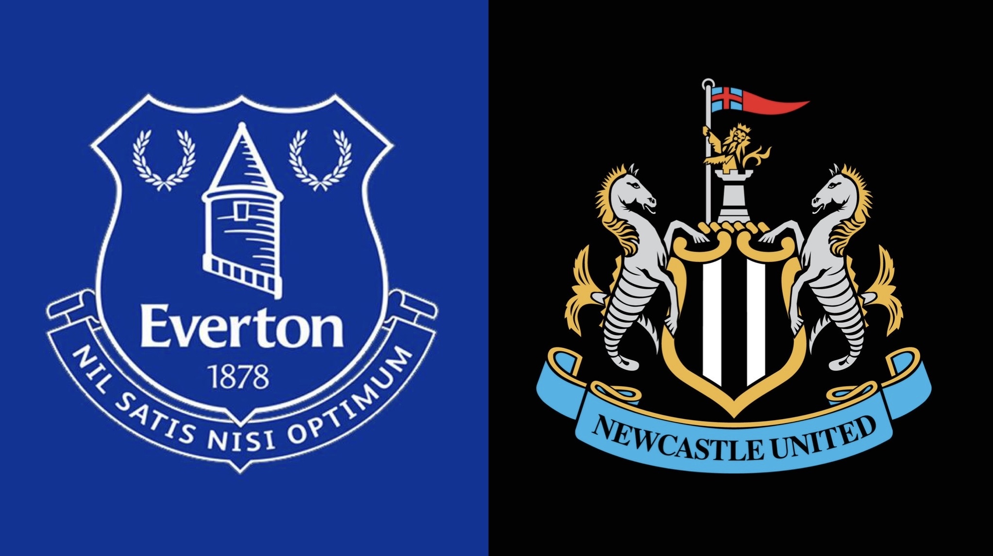 Early injury hint for Newcastle - 6 out of Everton and 4 likely to be fit?