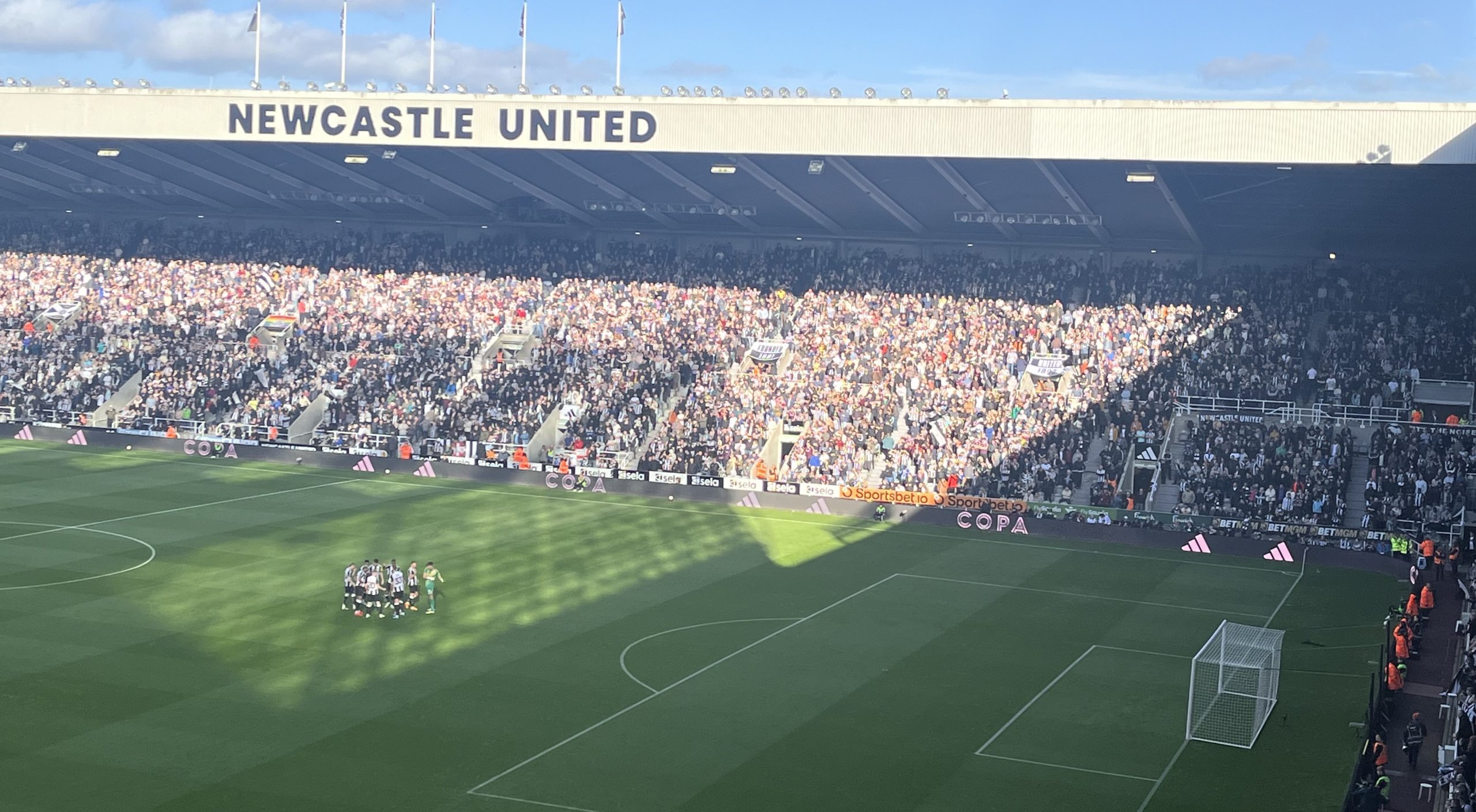 Scary negatives and slight positives - Newcastle 0-1 Brighton takeaways