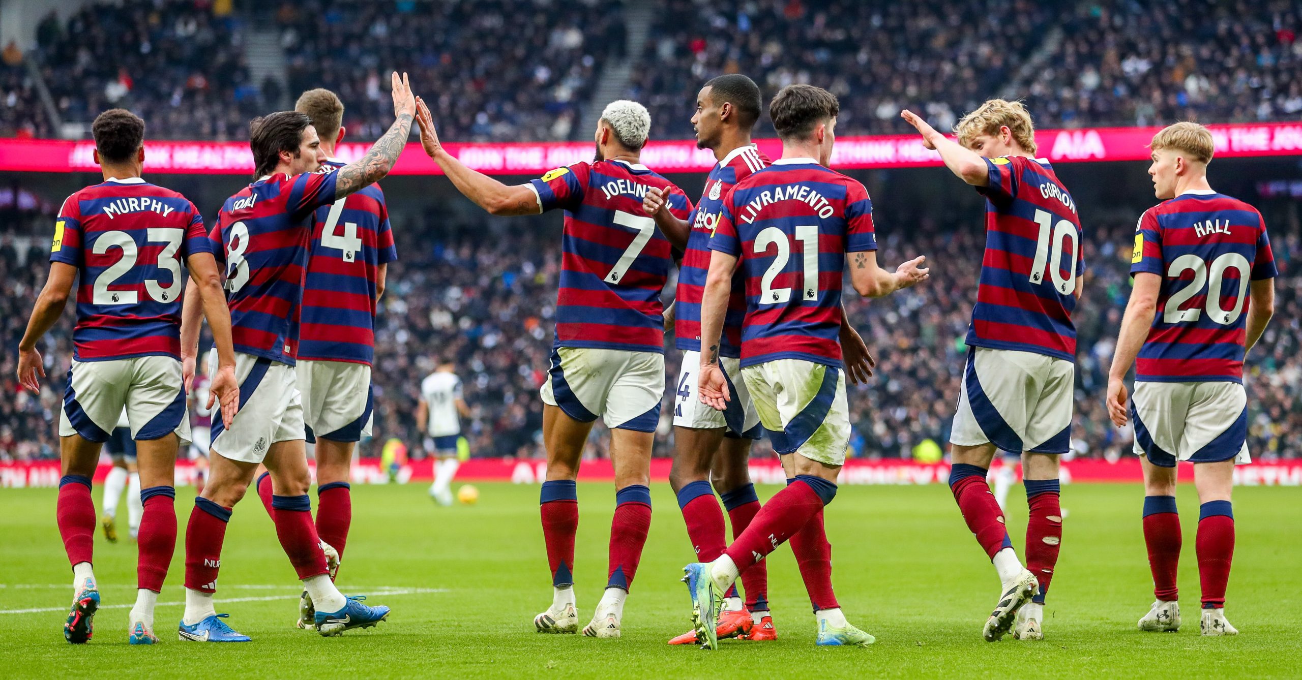 Newcastle stars named in EA Sports FC TOTS nominees - but who’s missing?