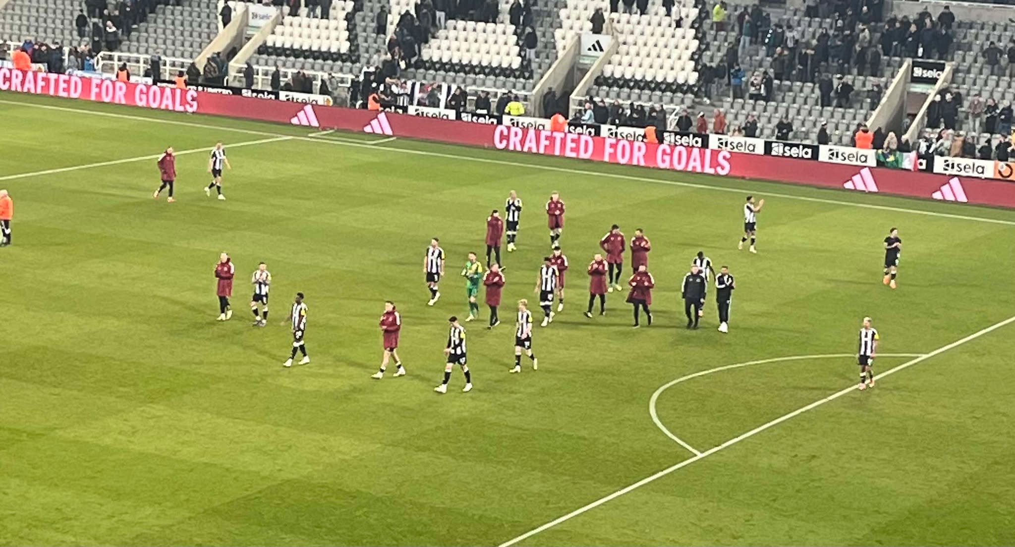 Player ratings from Newcastle 1-2 Fulham - Five 4s, several 5s and a few 6/10s