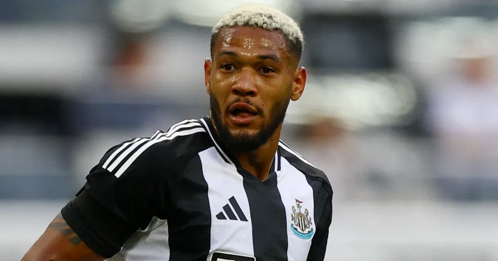 Joelinton facing another ban - More bad news after Saturday's 2-1 defeat to Fulham