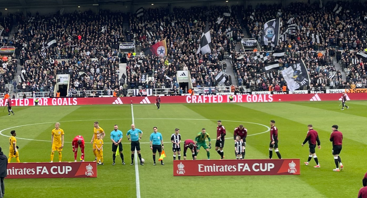 Four stinkers, a 1/10 and two 7s - Player ratings from Newcastle 1-2 Brighton