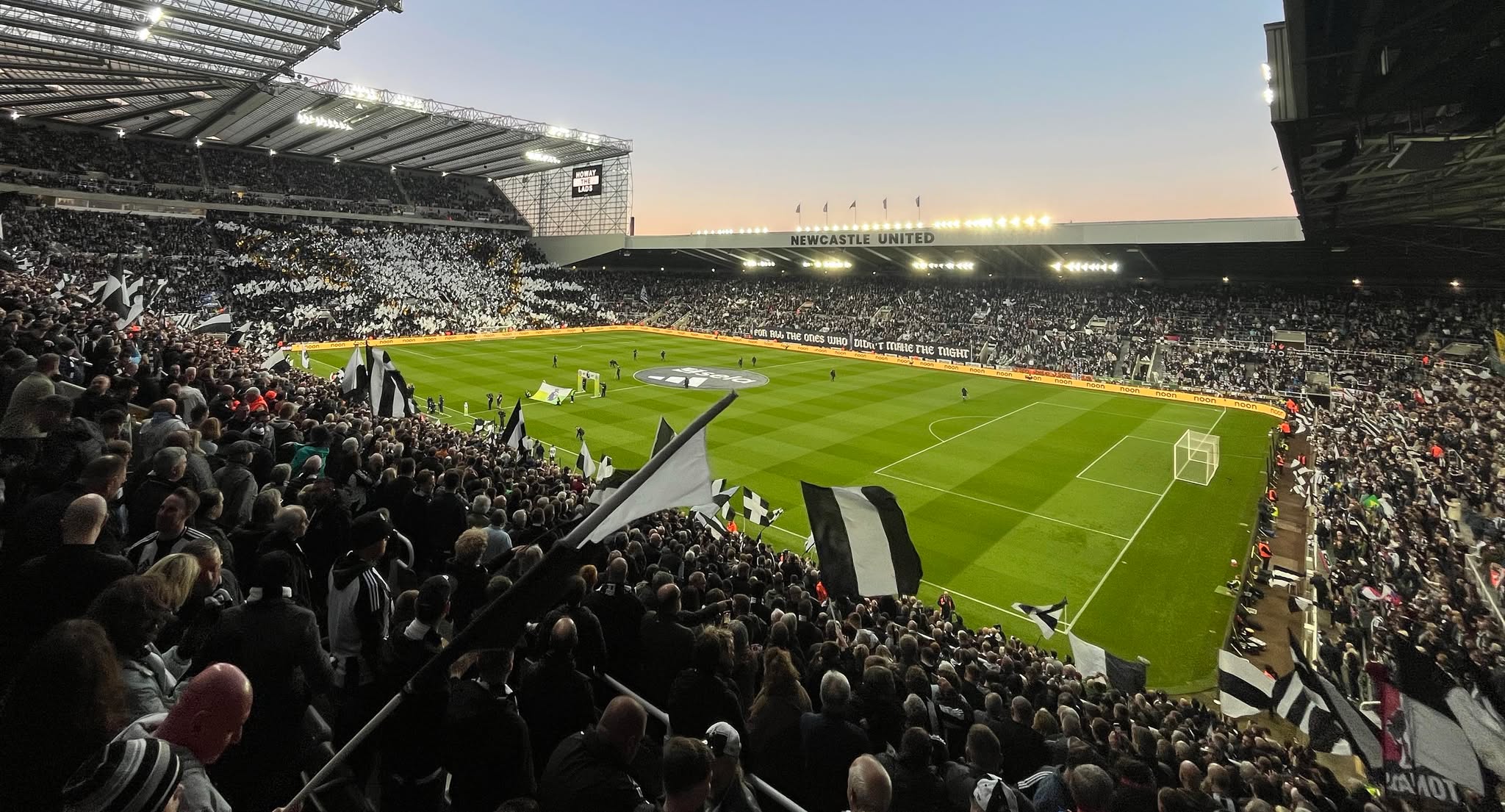 Back to work! - The Toon Review