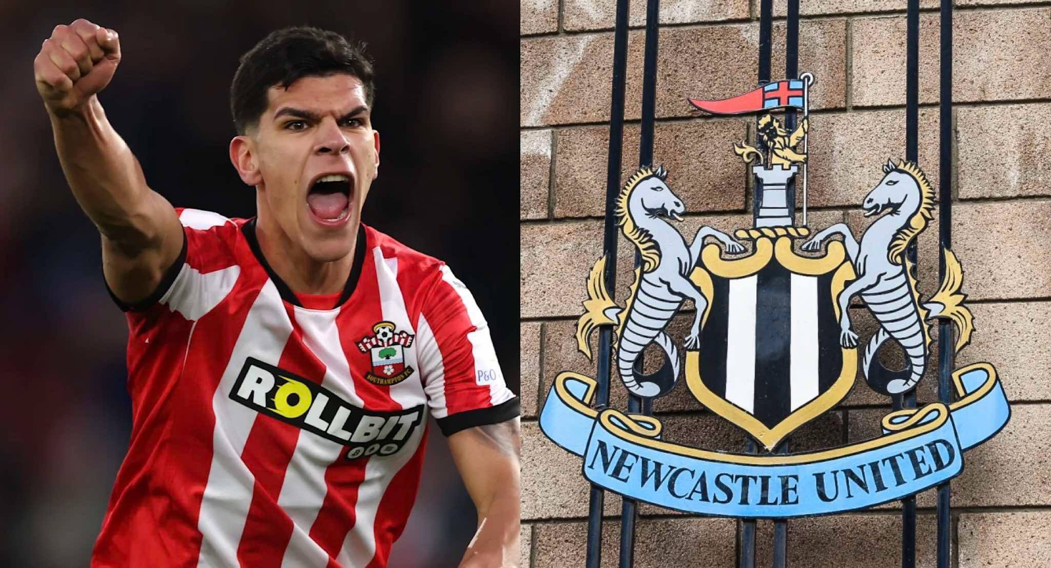 EXCLUSIVE: Newcastle eyeing Mateus Fernandes - but move may rely on summer sale