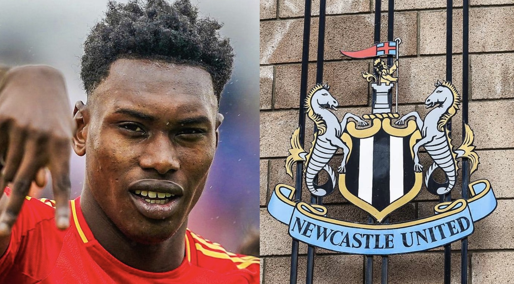 Newcastle turn to Samu Aghehowa - David Ornstein