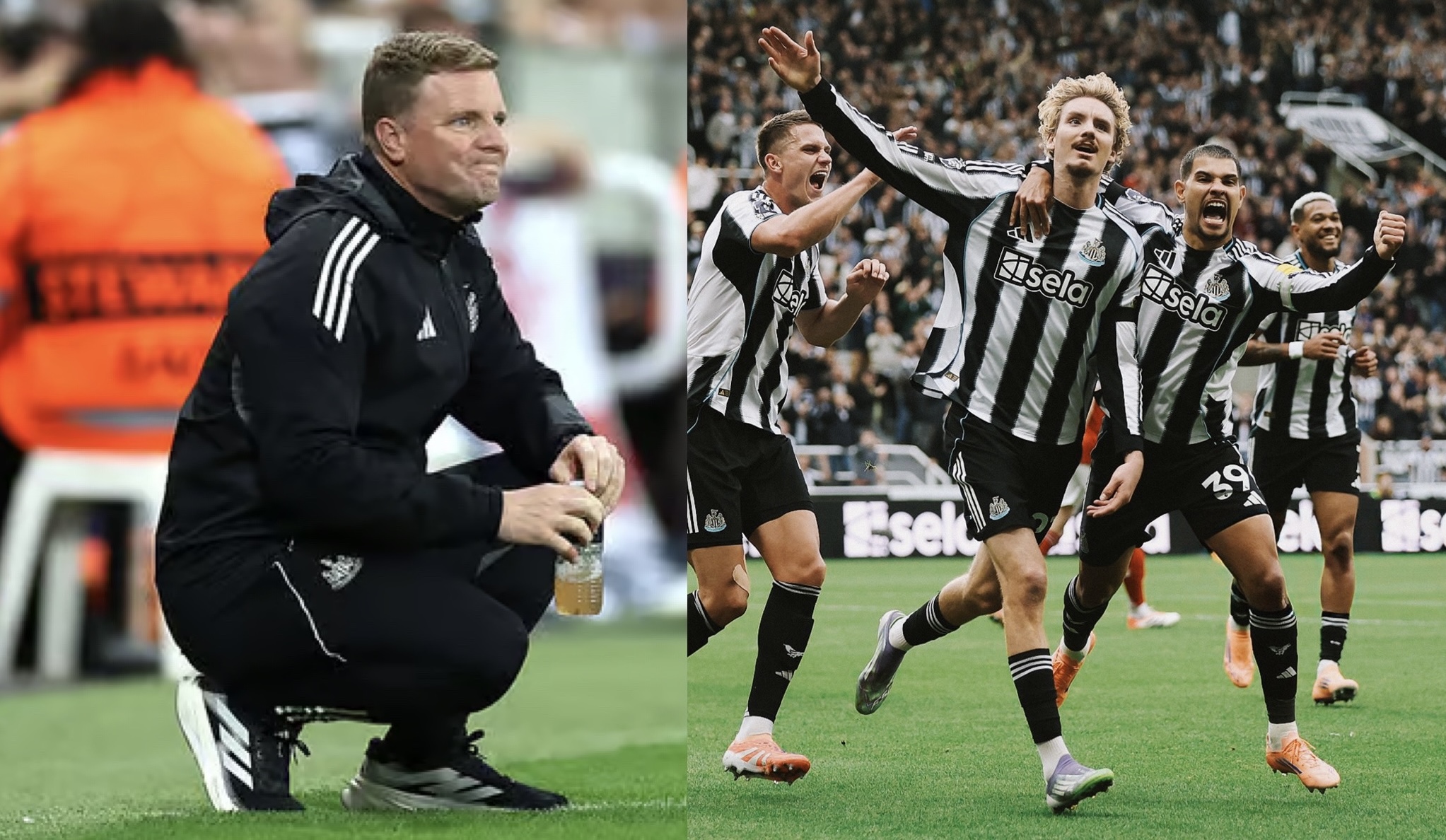 The Nick Woltemade puzzle Eddie Howe needs Newcastle to solve