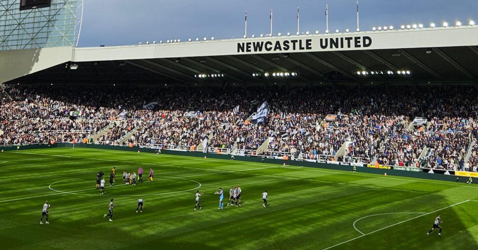 One 9/10, two 8s and a few 5s - Player ratings from Newcastle 1-0 Wolves
