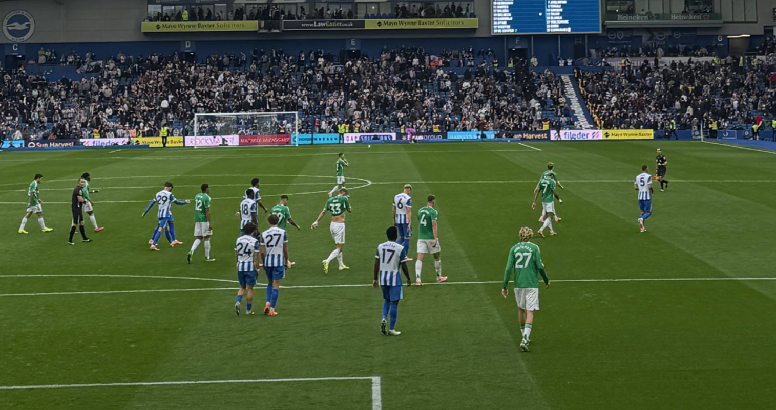 Mags suffer defeat despite Woltemade magic - Brighton 2-1 Newcastle