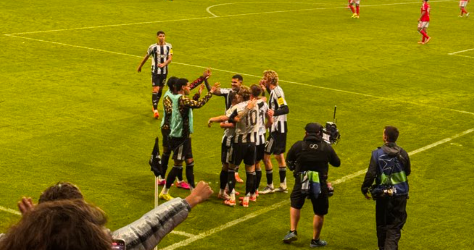 Stunning 9/10, three 8.5s and several 8/10s - Player ratings from Newcastle 3-0 Benfica