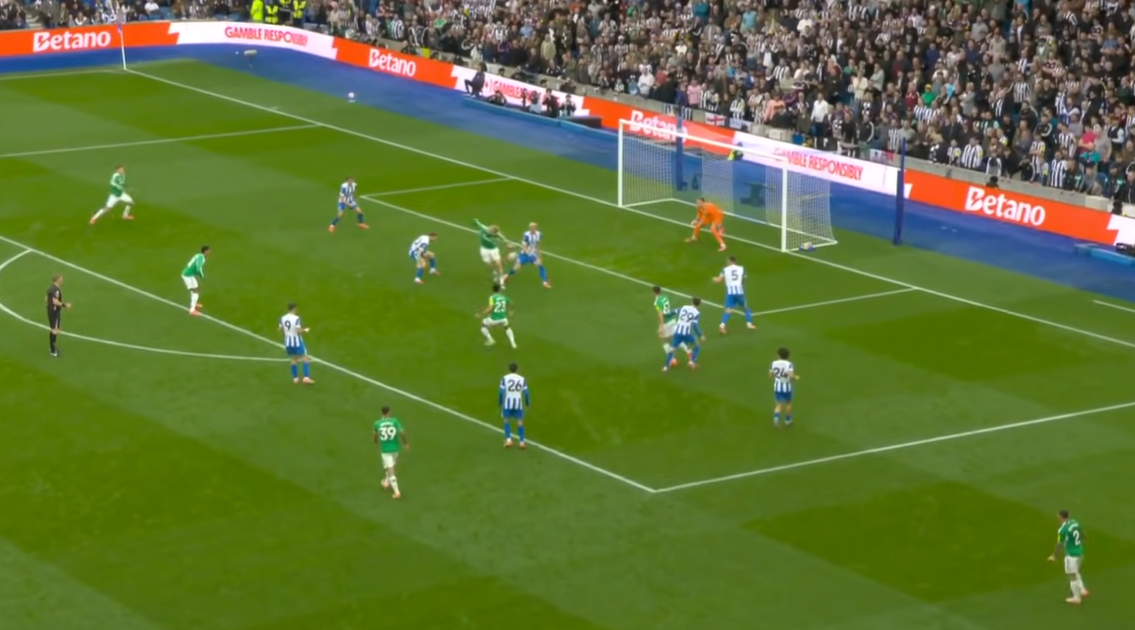 Watch Nick Woltemade's moment of magic at Brighton as Howe hails 6ft 6" German