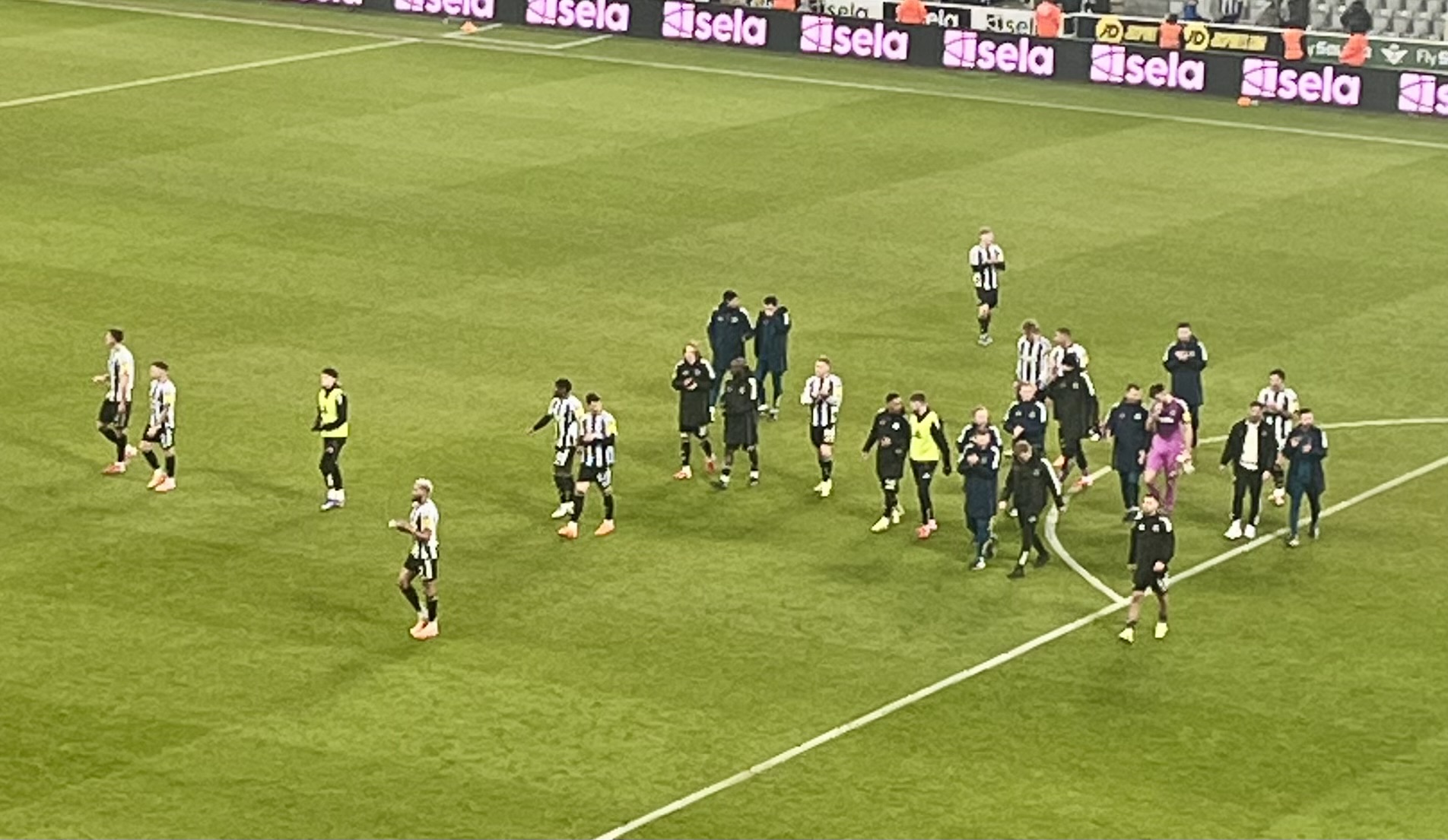 Two 4/10s and an outstanding 8.5 - Newcastle player ratings vs Man City